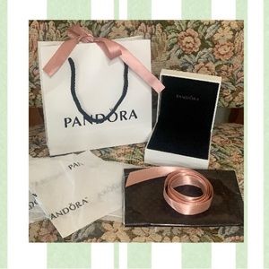 Pandora gift bag, box & extras